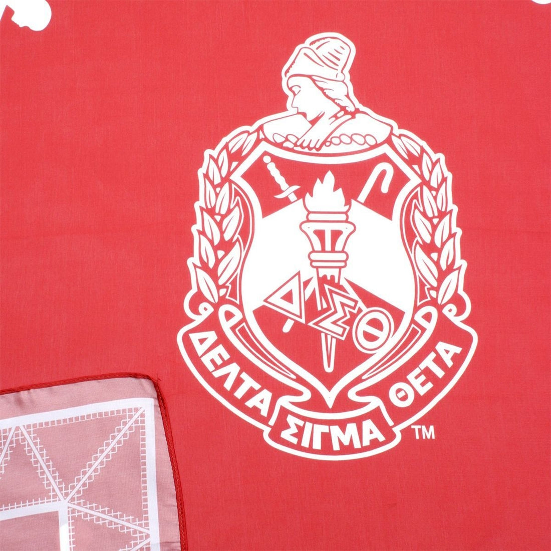 Delta Scarf